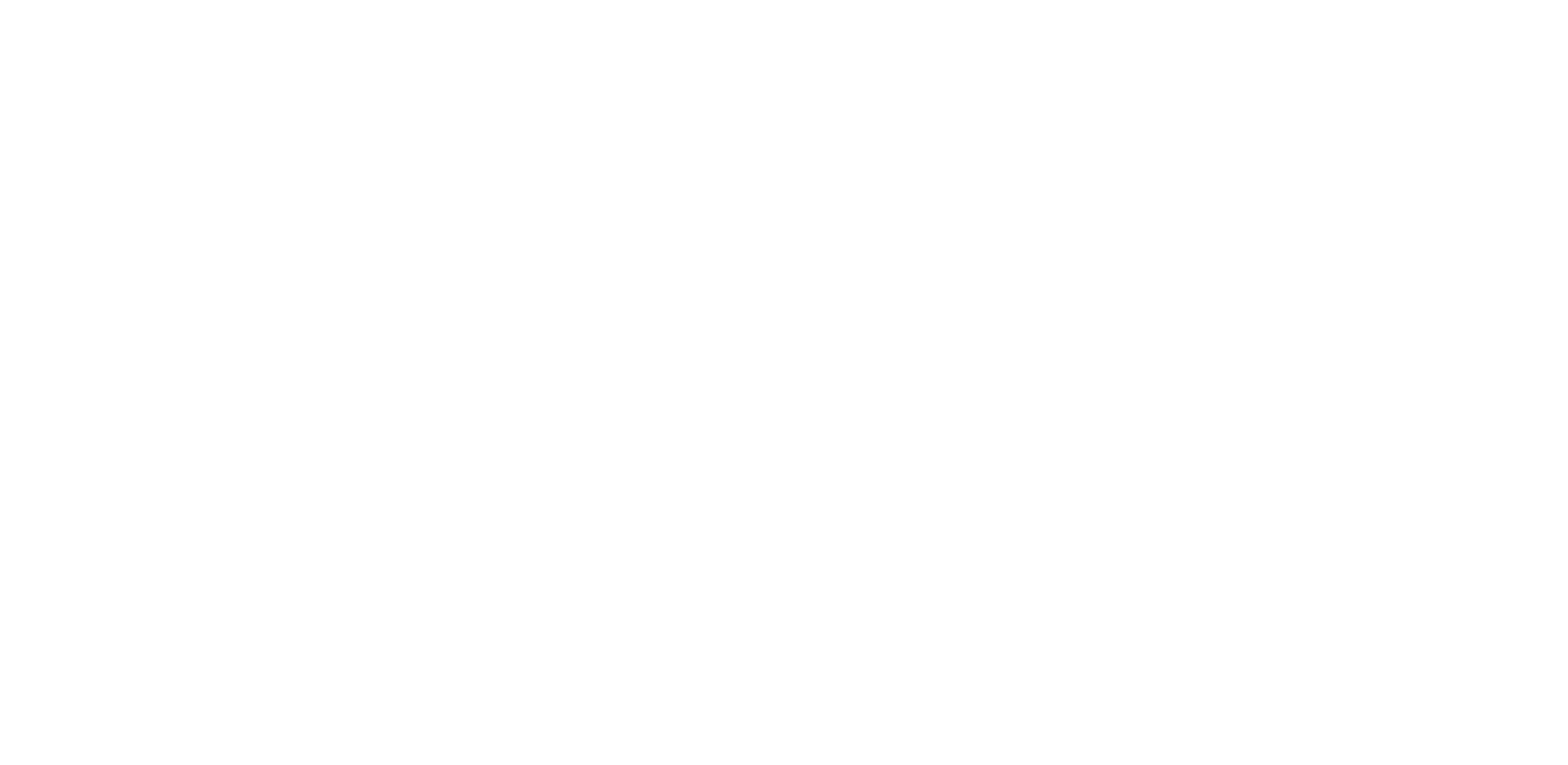 Robert Consultores